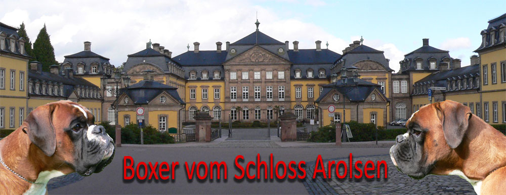 Banner_Schloss_Arolsen